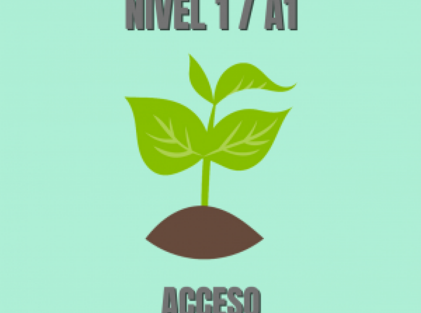 Niveau A1